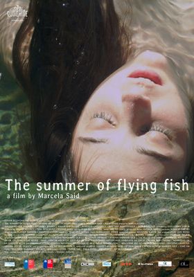 Filmposter 'El verano de los peces voladores - Der Sommer der fliegenden Fische'