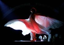 La danseuse - The Dancer: Die Tänzerin - Foto 1