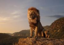 Der König der Löwen (2019) - Foto 1