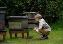 Der Honiggarten: Das Geheimnis der Bienen - Foto 7