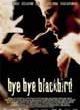 Filmposter 'Bye Bye Blackbird'